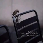 دانلود آهنگ جدید امید آمری خواب دیدم بی توام کاش بگی کیفیت ناب mp3 دانلود آهنگ جدید امید آمری خواب دیدم بی توام کاش بگی کیفیت ناب mp3
