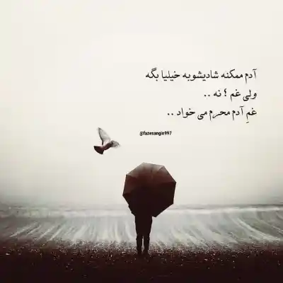 دانلود آهنگ  "تو خود زانی قلب منی" رضا رادین
