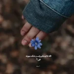 دانلود آهنگ جدید روزبه بمانی جنون کامل اصلی دانلود آهنگ جدید روزبه بمانی جنون کامل اصلی