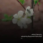 دانلود آهنگ جدید سعید آسایش ای دختر پولدار که بابات کارخونه داره MP3 کیفیت 320
