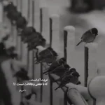 دانلود آهنگ جدید سینا شعبانخانی نمیدونم چطور میخوای دلت رو راضی کنی کیفیت عالی دانلود آهنگ جدید سینا شعبانخانی نمیدونم چطور میخوای دلت رو راضی کنی کیفیت عالی