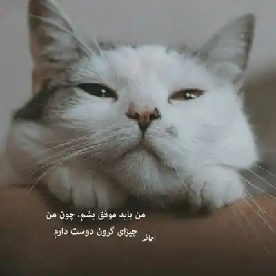 دانلود آهنگ  سیاهی سورنا و دانیال و یاس و پوتک