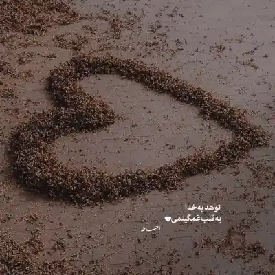 دانلود آهنگ  یار عزیزم بی مو جر کرده