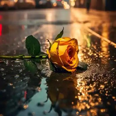 دانلود آهنگ  بیا این دل واسه تو هر جا میخوای بردار برو