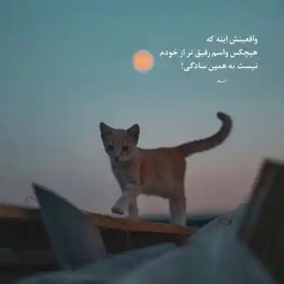 دانلود آهنگ  الکل از شایع و هیپهاپولوژیست و مهیار و ویناک و هیدن