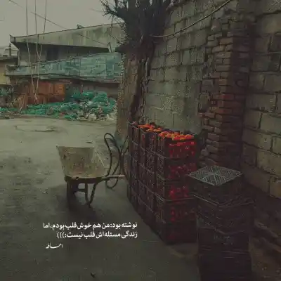 دانلود آهنگ  دکلمه بی تو این شهر برایم قفسی دلگیر است