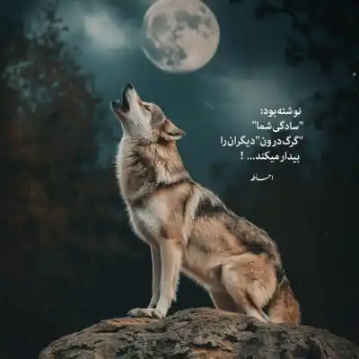 دانلود آهنگ  دلم تنگه بی بال و مسین و ناجی و مهدیار و شایع و پیشرو
