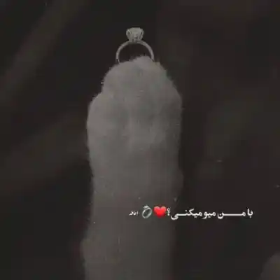 دانلود آهنگ  دلتنگ این دلم توی هوای تو مرتضی جعفرزاده