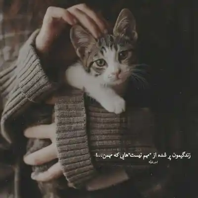دانلود آهنگ  گریه را به مستی بهانه کردم