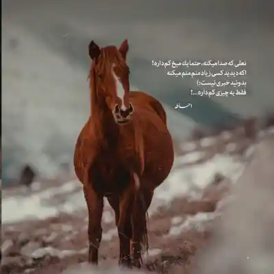 دانلود ریمیکس پایتخت هیپهاپولوژیست و محمدرضا اسحاقی و پوری کیفیت بالا mp3 دانلود آهنگ پایتخت هیپهاپولوژیست و محمدرضا اسحاقی و پوری