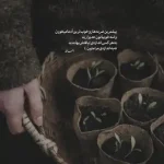 دانلود آهنگ جدید سینا درخشنده شب میلاد MP3 کیفیت 320 دانلود آهنگ جدید سینا درخشنده شب میلاد MP3 کیفیت 320