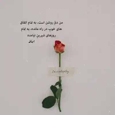 دانلود آهنگ  تابلو شدین داره بوش در میاد