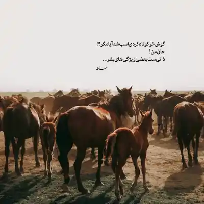 دانلود آهنگ  فکر نمیکردم بشه شد خدا شکر بهزاد لیتو