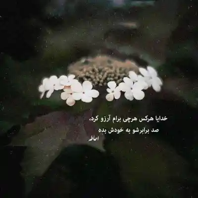 دانلود آهنگ  کاشکی نداشتم تورو از اولشم نبودی تو کنسرت