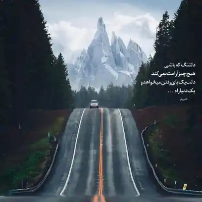 دانلود آهنگ  تو کدوم از این گلایی رز لاله نسترن
