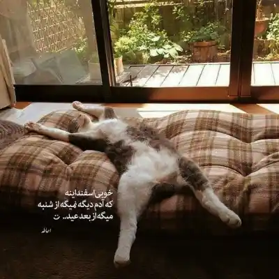 دانلود آهنگ  اگر خانه را پر از گل رز کنم امید نصری