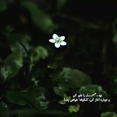 دانلود آهنگ  ازم دور شین