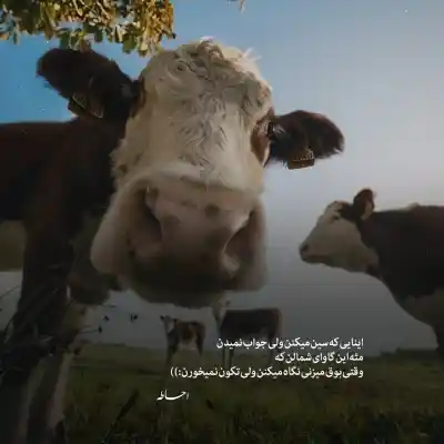 دانلود آهنگ  اشکامو پنهونی دارم میریزم با صدای بچه