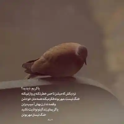 دانلود آهنگ  دل شب یادت کرده دلم شایع