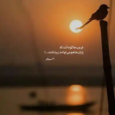 دانلود آهنگ  کبوتر با کبوتر باز با باز با صدای بچه