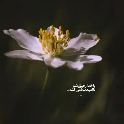 دانلود آهنگ  کی یادت داد یادت بره انقدر زود همه چی آژوان