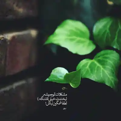 دانلود آهنگ  همه حرفام دروغ بود من هنوز عاشقتم مهیار