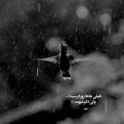 دانلود آهنگ  همه ی من شایع