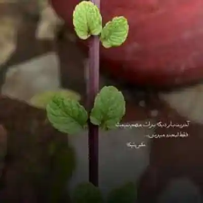 دانلود آهنگ  مثل یک رنگین کمون هفت رنگ محمد رضا عیوضی