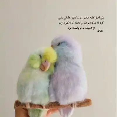 دانلود آهنگ جدید علیرضا قربانی پرواز قوها کامل اصلی دانلود آهنگ پرواز قوها