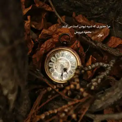 دانلود آهنگ  بی بی سی ریمیکس الو