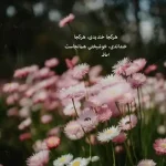 دانلود آهنگ جدید سالار عقیلی بهار آمد بیا تا داد عمر رفته بستانیم MP3 کیفیت 320 دانلود آهنگ جدید سالار عقیلی بهار آمد بیا تا داد عمر رفته بستانیم MP3 کیفیت 320
