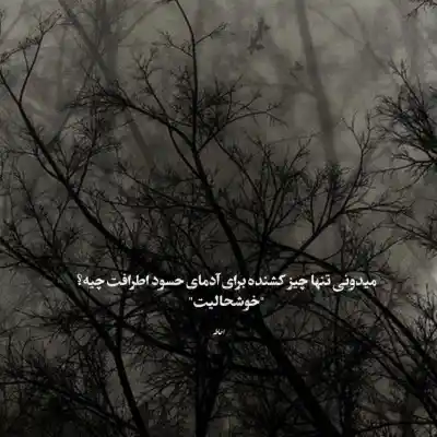 دانلود آهنگ  تو از آسمان افتادی مثل تو دلبر نیست