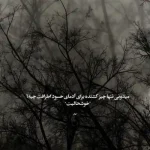 دانلود آهنگ جدید ویگن شکوفه می رقصد از باد بهاری کیفیت عالی دانلود آهنگ جدید ویگن شکوفه می رقصد از باد بهاری کیفیت عالی