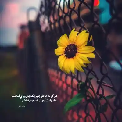 دانلود آهنگ جدید یا علی نام تو بردم نه غمی کامل اصلی دانلود آهنگ یا علی نام تو بردم نه غمی