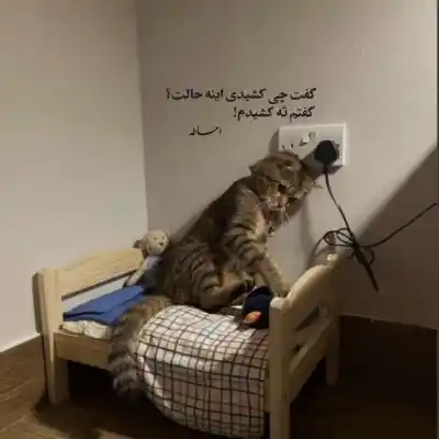 دانلود آهنگ  خانه دلتنگ غروبی خفه بود