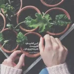 دانلود آهنگ جدید عرشیاس اون همه چیزم بود کامل اصلی دانلود آهنگ جدید عرشیاس اون همه چیزم بود کامل اصلی