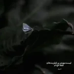 دانلود آهنگ جدید ایوان بند نکن دلبر از این بیشتر کیفیت ناب mp3 دانلود آهنگ جدید ایوان بند نکن دلبر از این بیشتر کیفیت ناب mp3