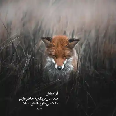 دانلود آهنگ  میدونم که یه روز به وقت نوجوونی از امید