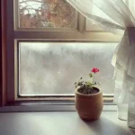 دانلود آهنگ جدید محسن یگانه بمون دل من فقط به بودنت خوشه کامل اصلی