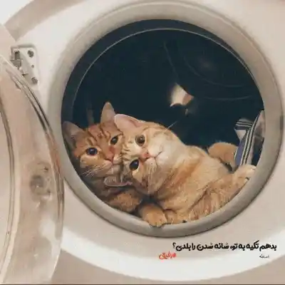 دانلود آهنگ  اینقده ناز نکن ناز نکن دلبریاشو