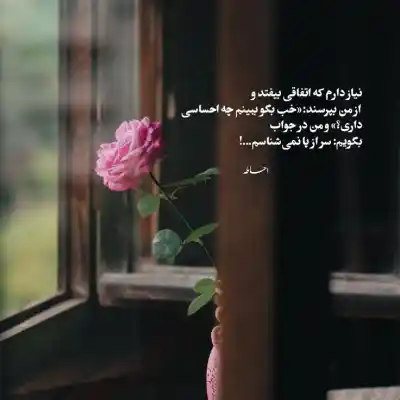 دانلود آهنگ  آهای نیلوفر من تو مشکی مو فر من