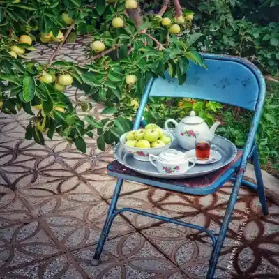 دانلود آهنگ  ترکی نفس خواننده زن