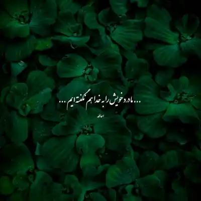 دانلود آهنگ  پاچیدم دم دم دم صبح شد چالش اینستا