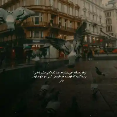 دانلود آهنگ  برگرد عزیزم که مرا هم نفسی نیست