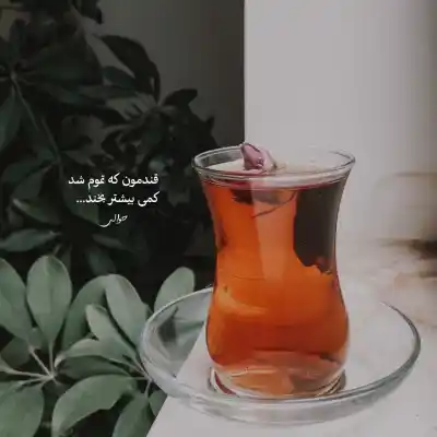 دانلود آهنگ جدید ببر مرا به عالمت به عالم جنون خود MP3 کیفیت 320 دانلود آهنگ ببر مرا به عالمت به عالم جنون خود