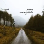 دانلود آهنگ جدید عرفان طهماسبی بی من کیفیت ناب mp3 دانلود آهنگ جدید عرفان طهماسبی بی من کیفیت ناب mp3