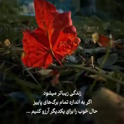 دانلود آهنگ  گل سرخ لبای تو یه دمنوشه