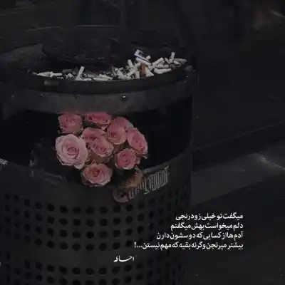 دانلود آهنگ  حال یک دیوانه را دیوانه بهتر میکند