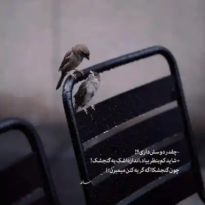 دانلود آهنگ  دلبر دلبر تویی از همه بهتر
