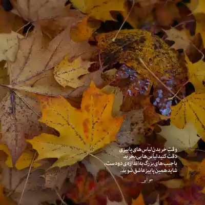 دانلود آهنگ  میگم حکایت ما میگه نقل سنگ و شیشه